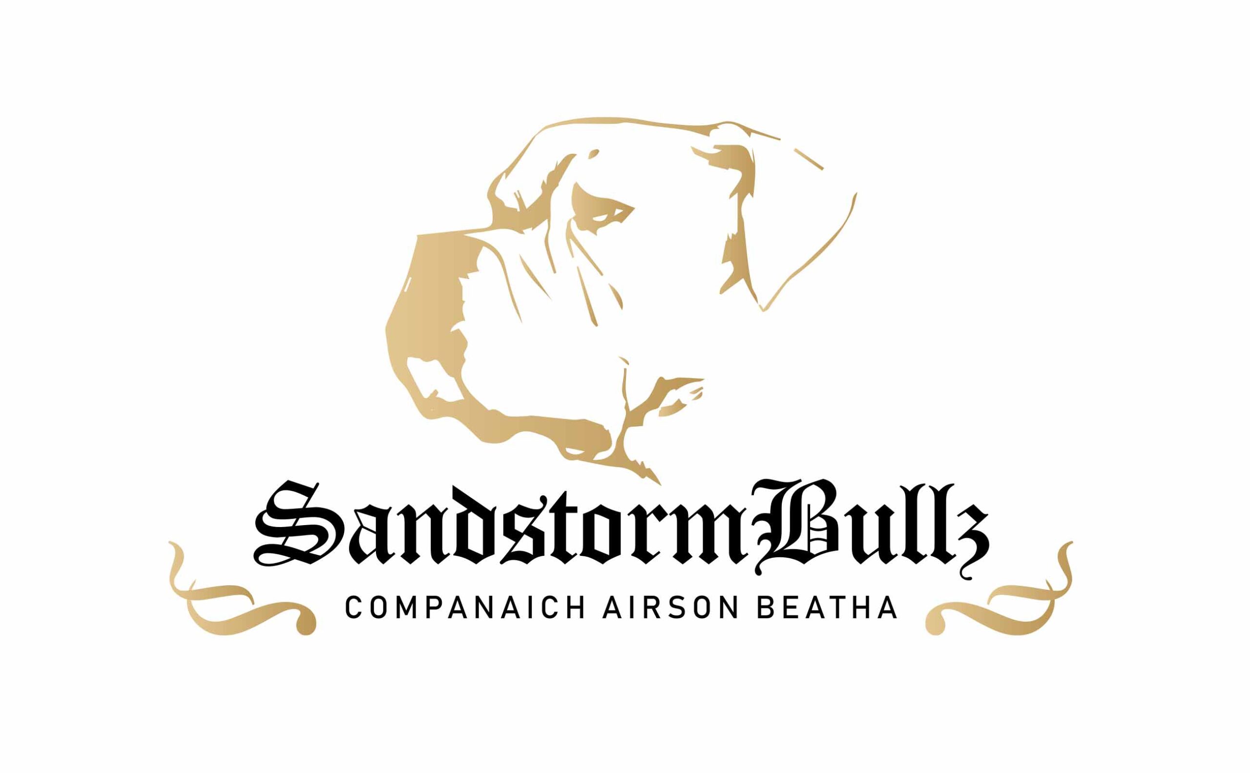 Logo design for "SandstormBullz" featuring a stylized dog illustration in gold and gothic-style blackletter typography, created by InloDesign—logo design service provider in London.
